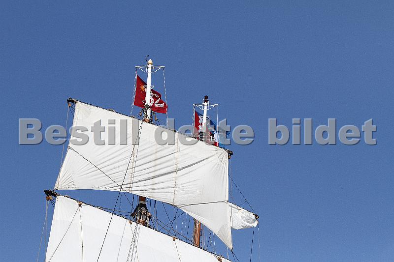 TSR2011_2 145.JPG